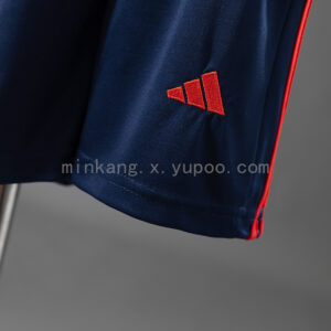 Camiseta Nottingham Forest 2023/24 Tercera - detalle