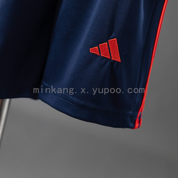 Camiseta Nottingham Forest 2023/24 Tercera - detalle