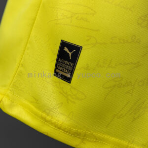 Camiseta Southampton 2022/23 Tercera Aniversario - detalle cuello y franjas