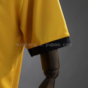 Camiseta Espanyol 2024/25 Edición Aniversario — detalle patrocinador DANI