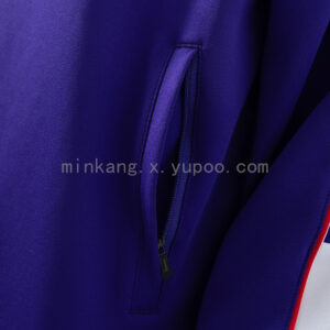 Chaqueta Fiorentina 2024/25 Entrenamiento - detalle franjas y logo manga