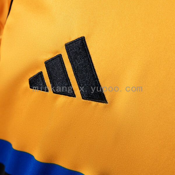 Camiseta Pisa 2024/25 Visita - detalle patrocinador Cetilar