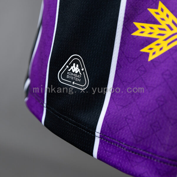 Camiseta Real Valladolid 2022/23 Visita — detalle estampado de rayas