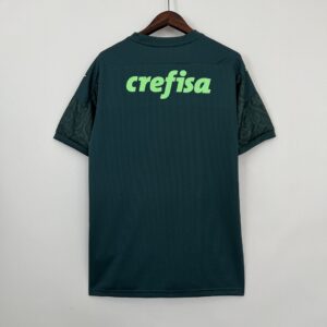 Camiseta Palmeiras 2021 Tercera