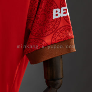 Camiseta Burgos CF 2023/24 Tercera — detalle patrón manga