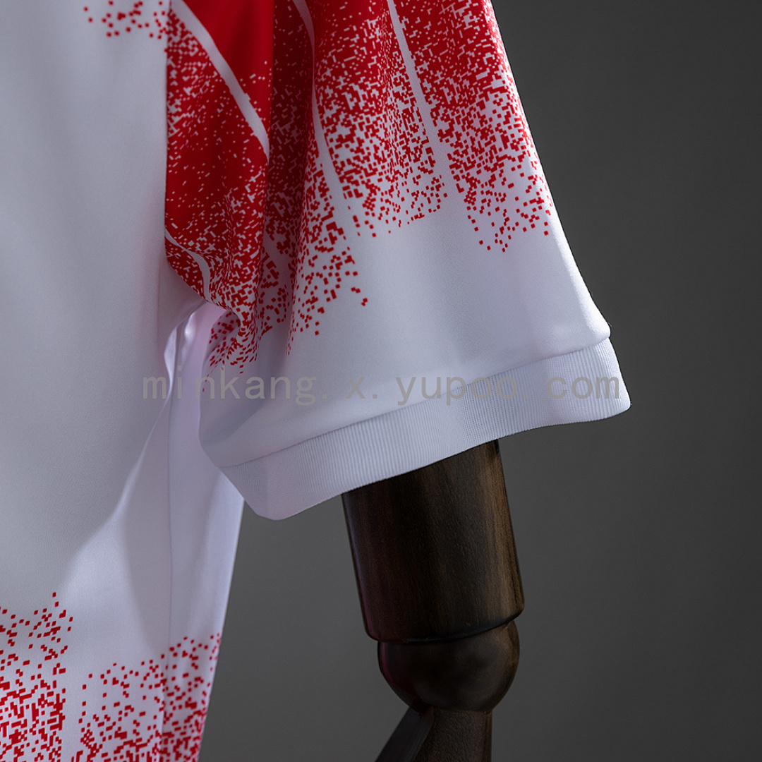 Camiseta AS Cannes 1995/96 Retro Local - detalle logos Diadora Phenix CIP