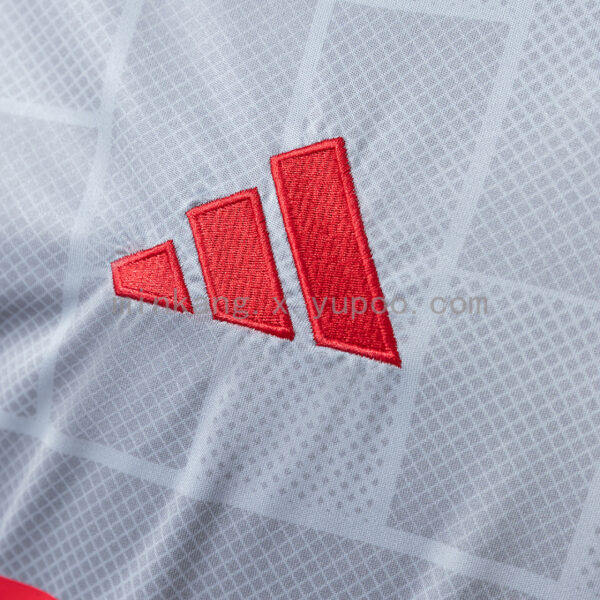 Camiseta Olympique Lyonnais 2023/24 Tercera - detalle de la manga