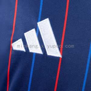 Camiseta Olympique Lyonnais 2023/24 Visita - detalle manga