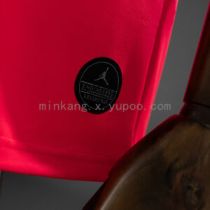 Camiseta Paris Saint-Germain 1920 Retro - detalle