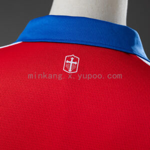 Camiseta Universidad Católica 2024 Visita - detalle logo Puma