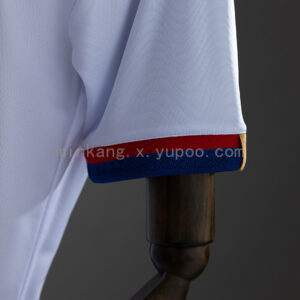 Camiseta Bahia 2023/24 Local — detalle franja vertical central