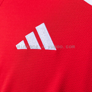 Camiseta Internacional 2024/25 Local — detalle