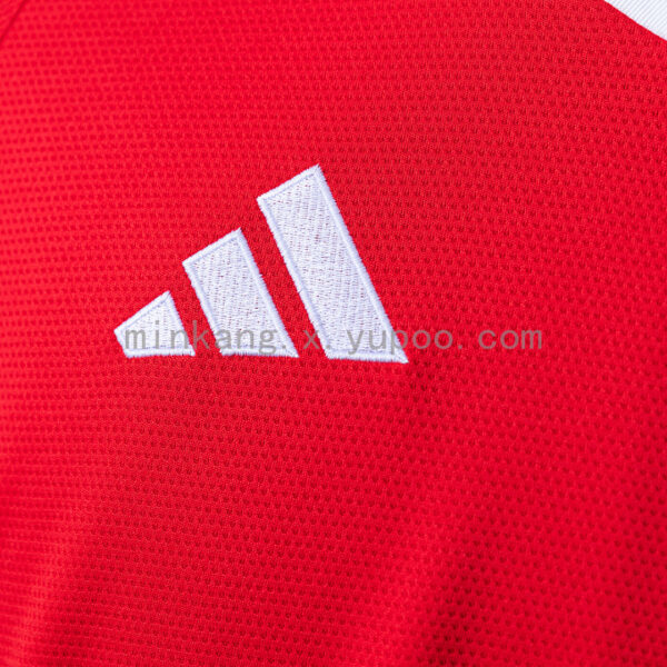 Camiseta Internacional 2024/25 Local — detalle