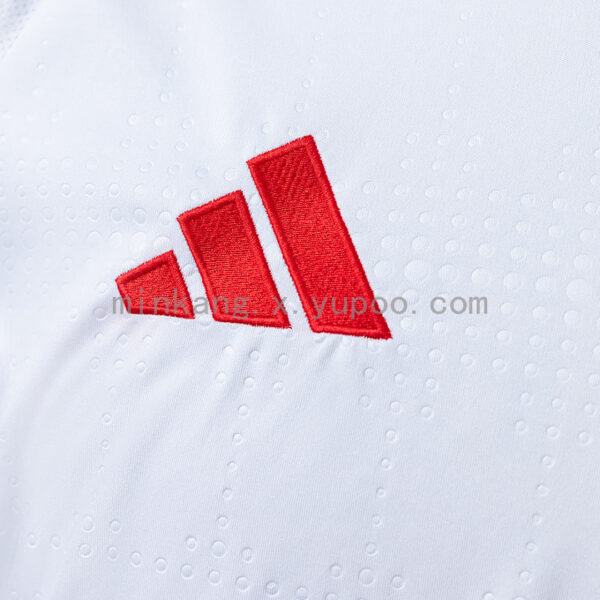 Camiseta Sport Club Internacional 2024 Visita — detalle logo Adidas