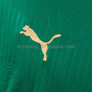Camiseta Palmeiras 2023/24 Local — detalle