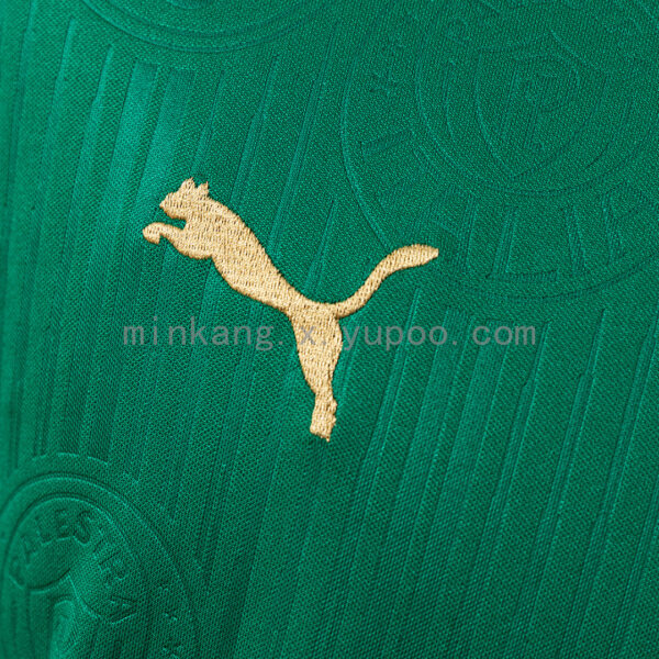 Camiseta Palmeiras 2023/24 Local — detalle
