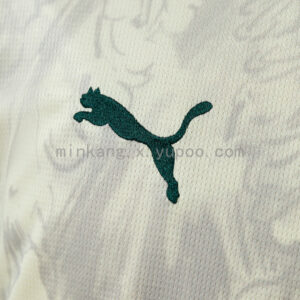 Camiseta Palmeiras 2023/24 Tercera — detalle