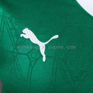 Camiseta Palmeiras 2024 Local Versión Jugador — detalle manga y puño