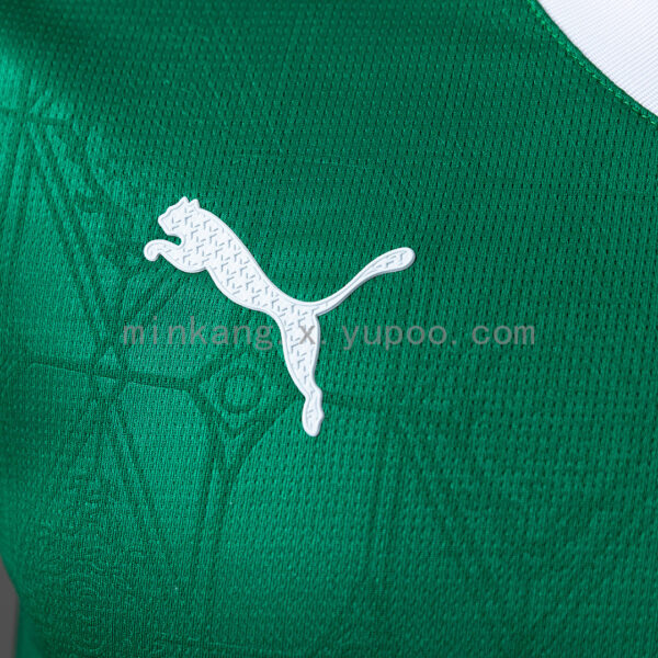 Camiseta Palmeiras 2024 Local Versión Jugador — detalle manga y puño