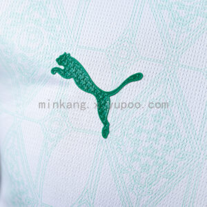 Camiseta Palmeiras 2024 Local — detalle