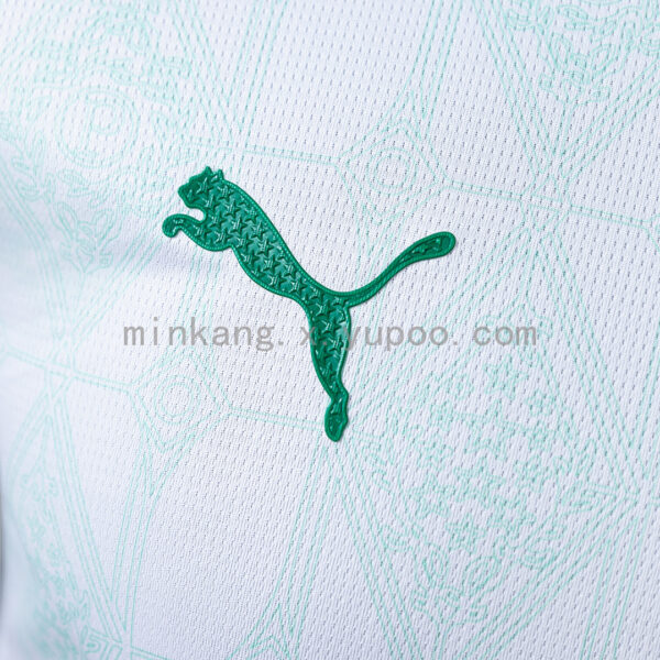 Camiseta Palmeiras 2024 Local — detalle