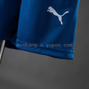 Camiseta Palmeiras 2023/24 Tercera — detalle