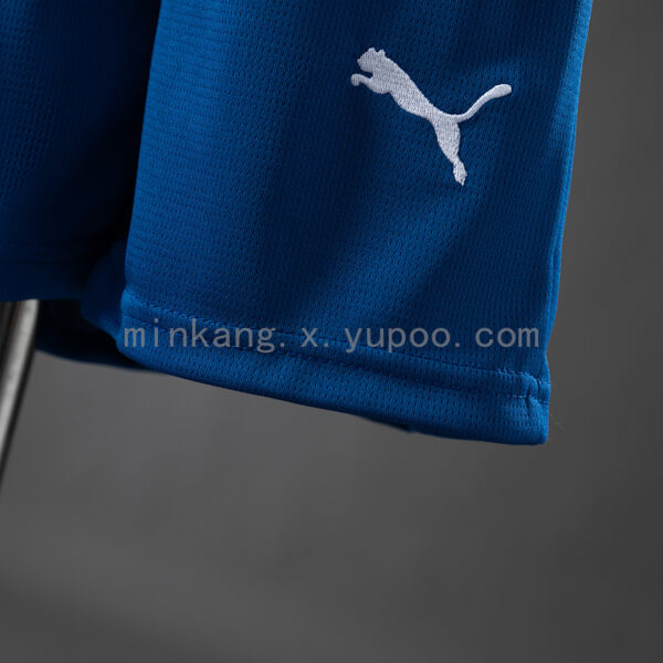 Camiseta Palmeiras 2023/24 Tercera — detalle
