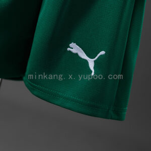 Camiseta Palmeiras 2024/25 Visita — detalle