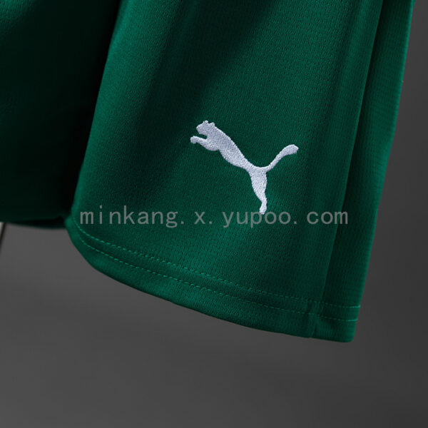 Camiseta Palmeiras 2024/25 Visita — detalle
