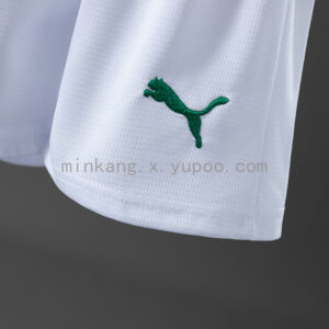 Camiseta Palmeiras 2024/25 Local — detalle tela y textura