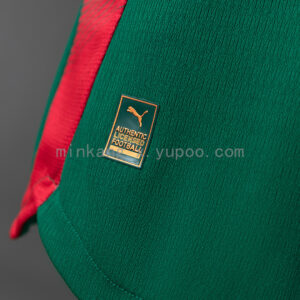 Camiseta Palmeiras 2024 Local — detalle logo Puma