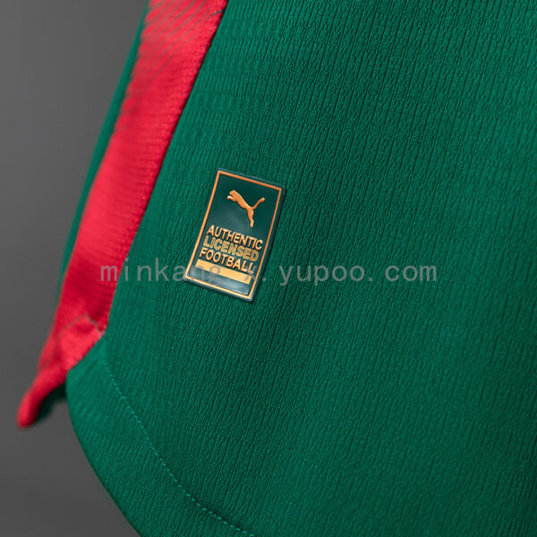 Camiseta Palmeiras 2024 Local — detalle logo Puma