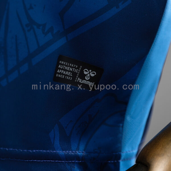 Camiseta Coventry City 2023/24 Tercera - detalle