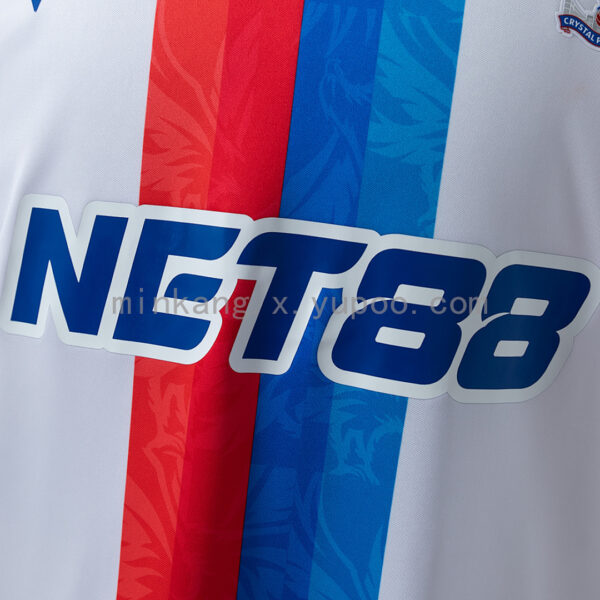 Camiseta Crystal Palace 2023/24 Visita - detalle