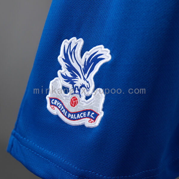 Camiseta Crystal Palace 2023/24 Local - detalle