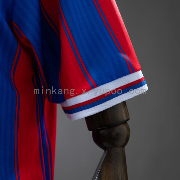 Camiseta Crystal Palace 2023/24 Local - detalle