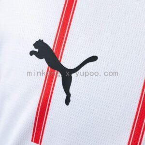Camiseta Girona 2023/24 Local — detalle manga