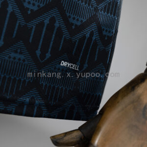 Camiseta Manchester City 2020/21 Visita - detalle del patrón