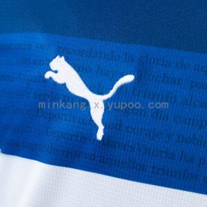 Camiseta Deportivo Alavés 2023/24 Visita — detalle tejido