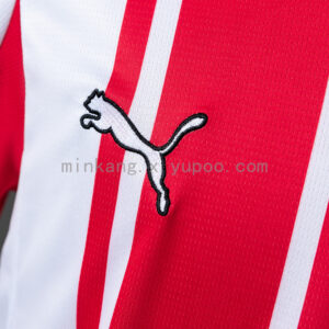 Camiseta Southampton 2022/23 Local - detalle cuello