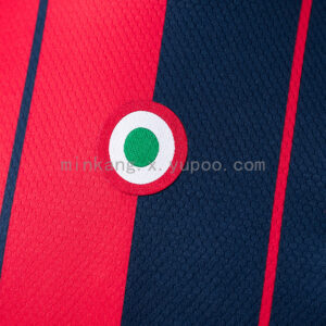 Camiseta Bologna 2023/24 Local - detalle