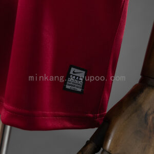 Camiseta Aston Villa 2008/09 Retro Local - detalle