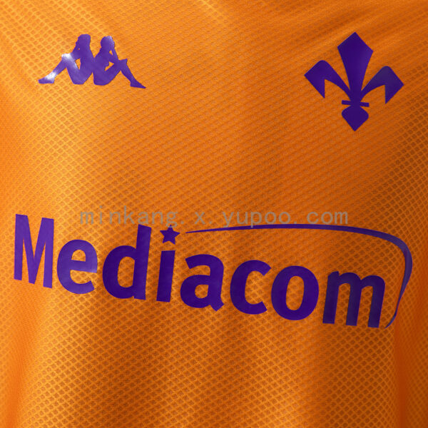 Camiseta Fiorentina 2024/25 Visita - detalle del cuello