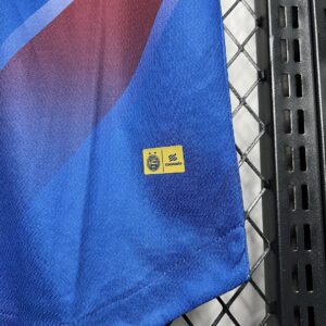 Camiseta Bahia 2023/24 Visita — detalle