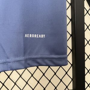 Camiseta Cruzeiro 2024 Entrenamiento — detalle panel lateral rojo
