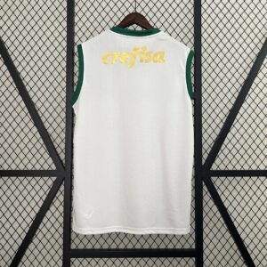 Camiseta Palmeiras 2024 Visita — detalle