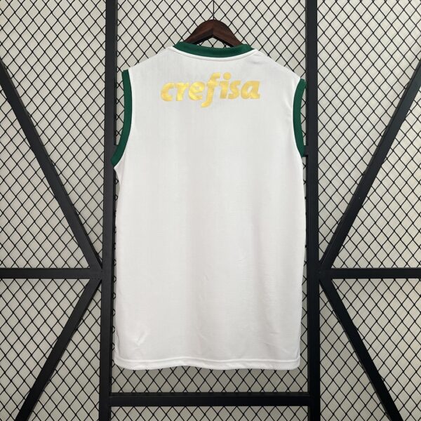 Camiseta Palmeiras 2024 Visita — detalle
