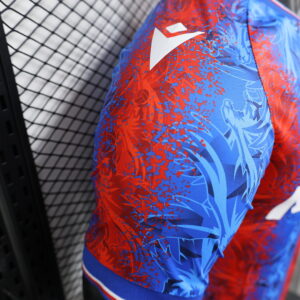 Camiseta Crystal Palace 2023/24 Local - detalle