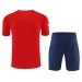 Camiseta Atlético Madrid 2024/25 Entrenamiento — detalle de la manga