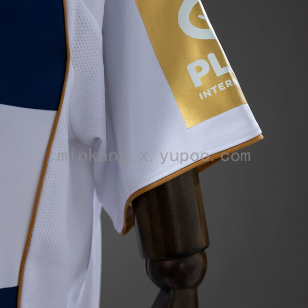 Camiseta Hamburger SV 2023/24 Edición Especial - detalle